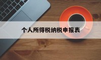 个人所得税纳税申报表(个人所得税纳税申报表的填写)