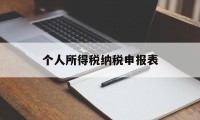 个人所得税纳税申报表(个人所得税纳税申报表填写范本)